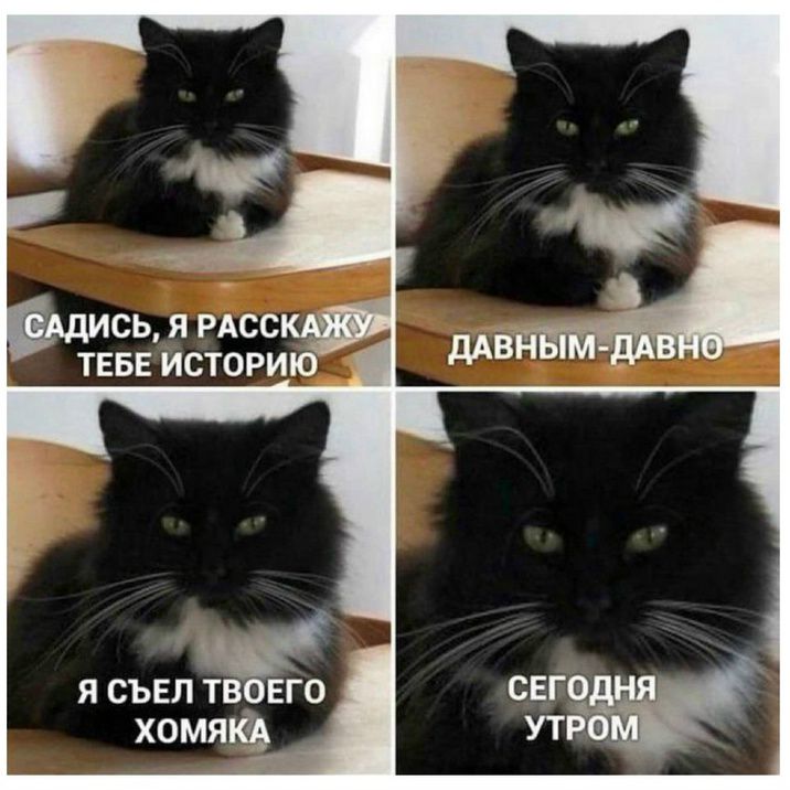САДИСЬ, Я РАССКАЖУ ТЕБЕ ИСТОРИЮ ДАВНЫМ-ДАВНО Я СЪЕЛ ТВОЕГО ХОМЯКА СЕГОДНЯ УТРОМ