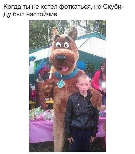 Когда ты не хотел фоткаться, но Скуби-Ду был настойчив