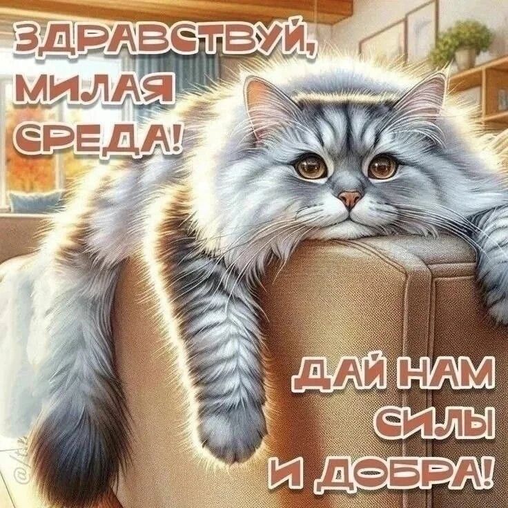 ЗДРАВСТВУЙ, МИЛАЯ СРЕДА! ДАЙ НАМ СИЛЫ И ДОБРА!