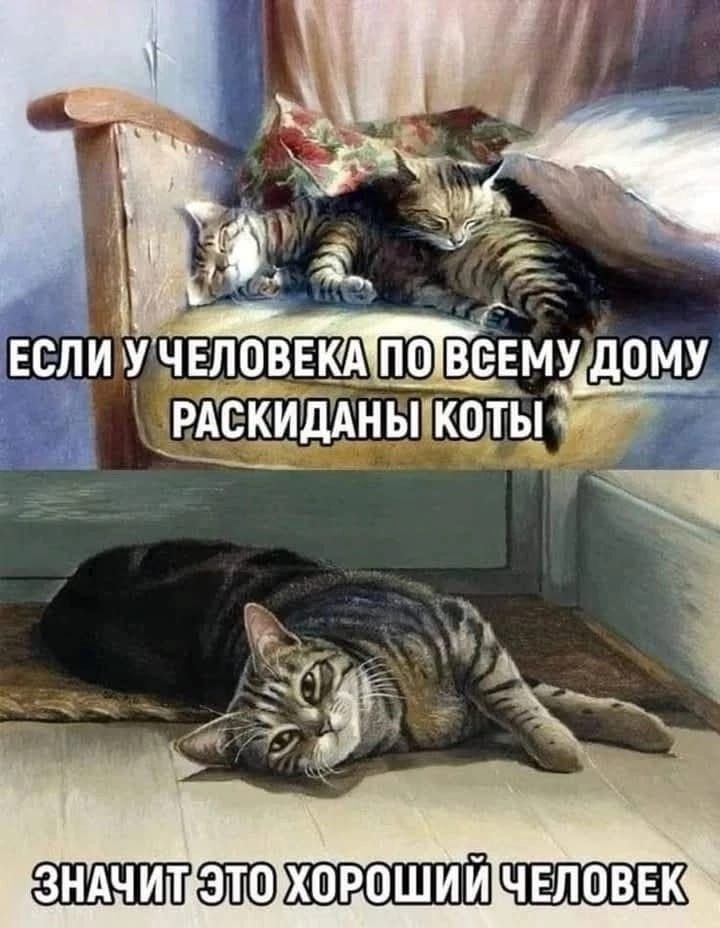 ЕСЛИ У ЧЕЛОВЕКА ПО ВСЕМУ ДОМУ РАСКИДАНЫ КОТЫ ЗНАЧИТ ЭТО ХОРОШИЙ ЧЕЛОВЕК