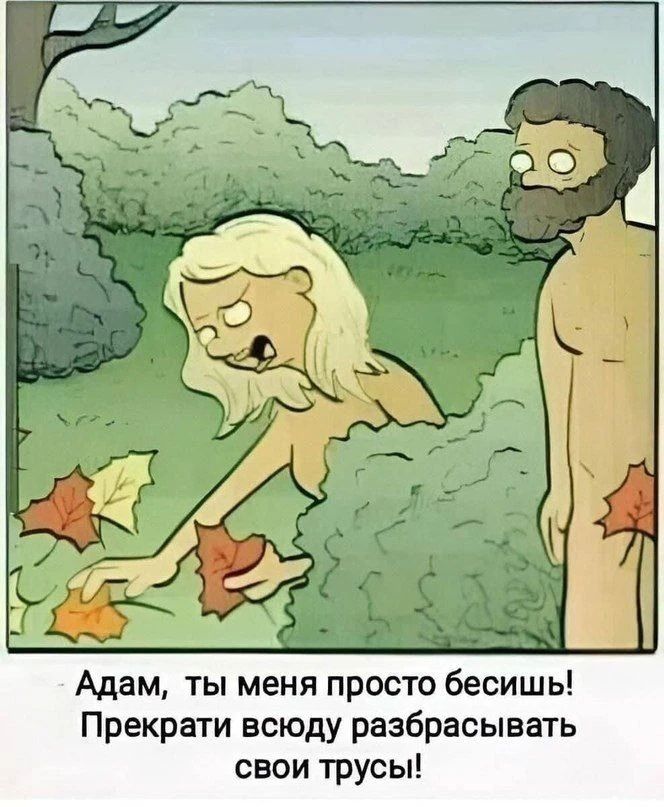 Адам, ты меня просто бесишь! Прекрати всюду разбрасывать свои трусы!