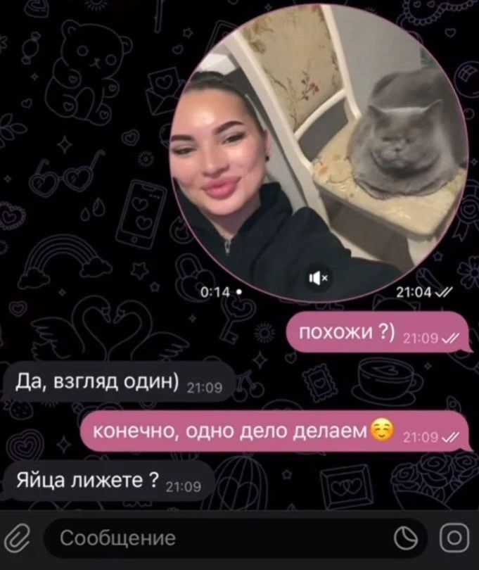 похожи ?) Да, взгляд один) конечно, одно дело делаем 😉 Яйца лижете ? Сообщение