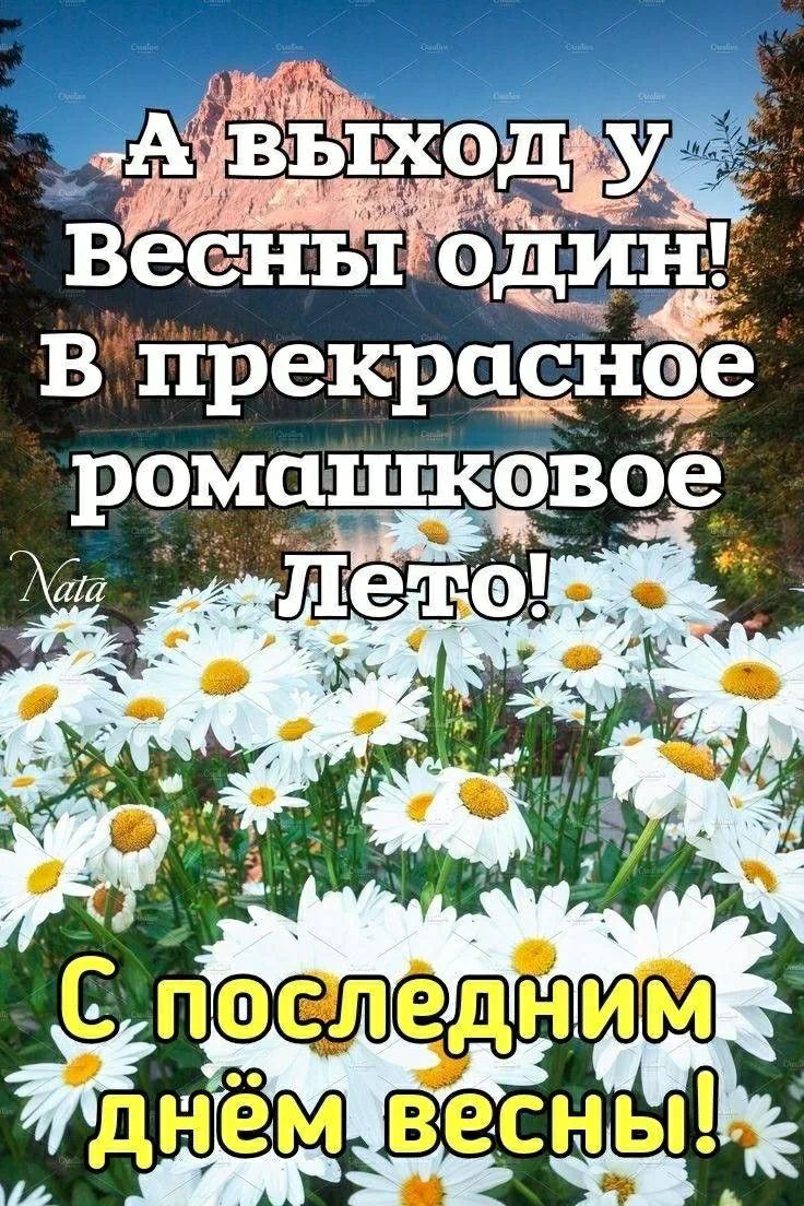 А выход у Весны один! В прекрасное ромашковое Лето! С последним днём весны!