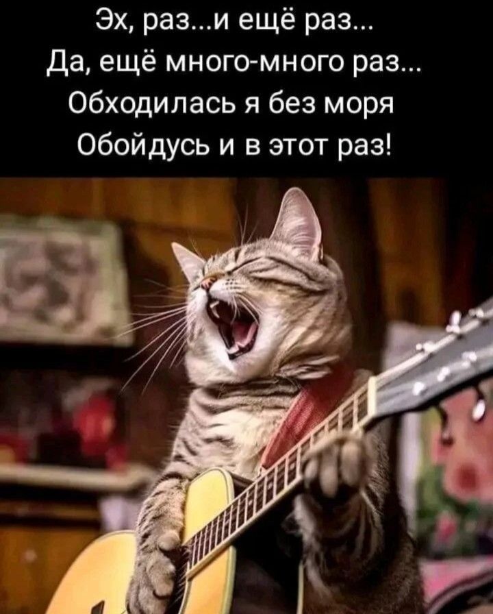 Эх, раз...и ещё раз... Да, ещё много-много раз... Обходилась я без моря Обойдусь и в этот раз!