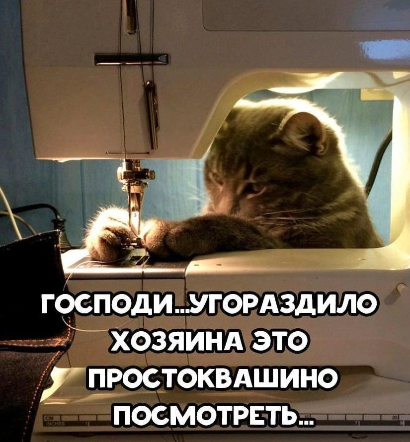 ГОСПОДИ...УГОРАЗДИЛО ХОЗЯИНА ЭТО ПРОСТОКВАШИНО ПОСМОТРЕТЬ...