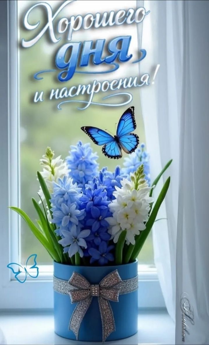 Хорошего дня и настроения!