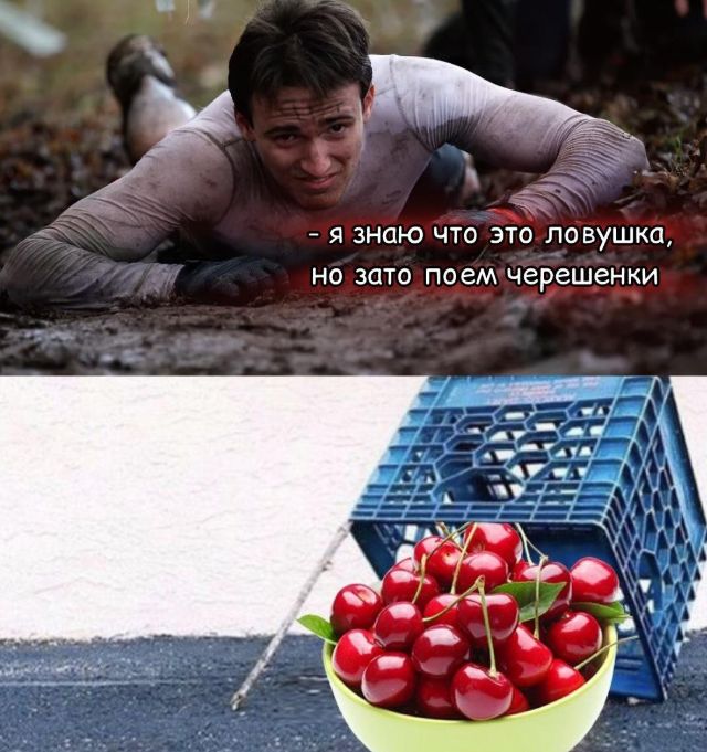 Я знаю что это ловушка, но зато поем черешенки