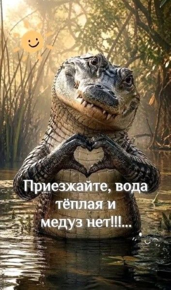 Приезжайте, вода тёплая и медуз нет!!!