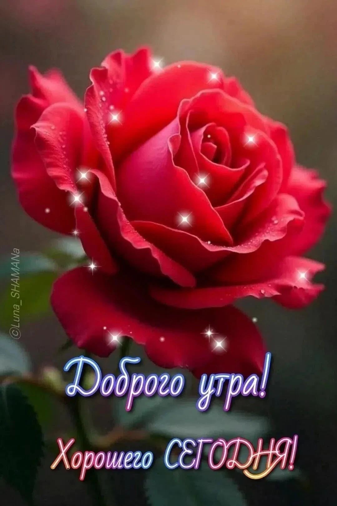 Доброго утра! Хорошего СЕГОДНЯ!