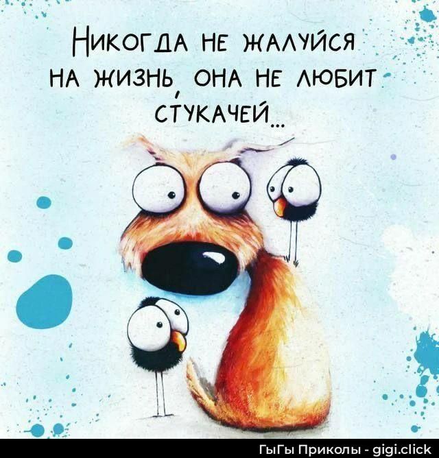 Никогда не жалуйся на жизнь, она не любит стукачей...