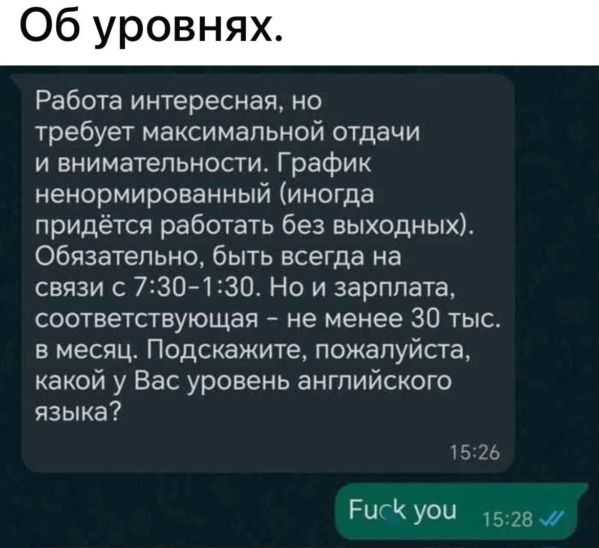 Об уровнях. Работа интересная, но требует максимальной отдачи и внимательности. График ненормированный (иногда придётся работать без выходных). Обязательно, быть всегда на связи с 7:30-1:30. Но и зарплата, соответствующая - не менее 30 тыс. в месяц. Подскажите, пожалуйста, какой у Вас уровень английского языка? Fuck you