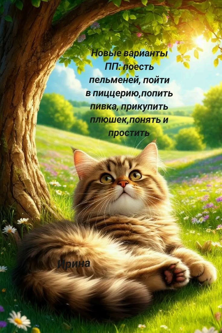 Новые варианты ПП: поесть пельменей, пойти в пиццерию, попить пивка, прикупить плюшек, понять и простить
