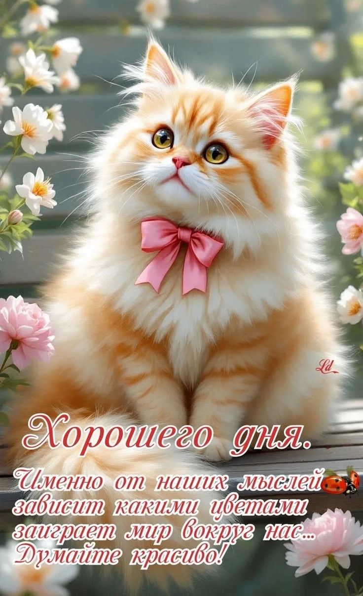 Хорошего дня. Именно от наших мыслей зависит какими цветами заиграет мир вокруг нас... Думайте красиво!