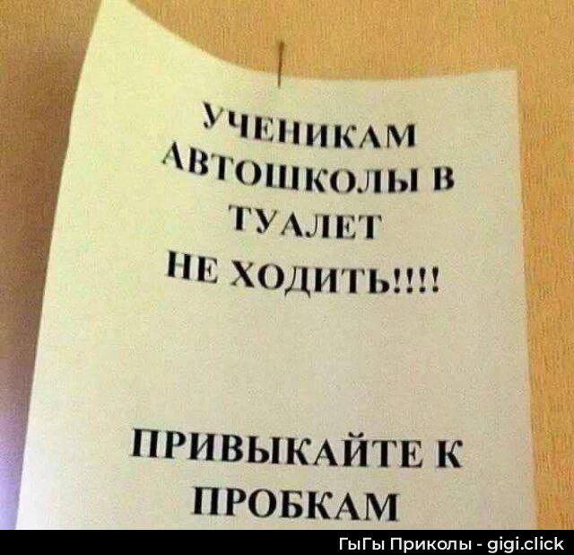 Ученикам автошколы в туалет не ходить!!!! Привыкайте к пробкам