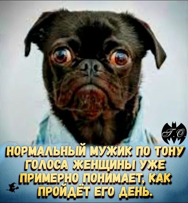 НОРМАЛЬНЫЙ МУЖИК ПО ТОНУ ГОЛОСА ЖЕНЩИНЫ УЖЕ ПРИМЕРНО ПОНИМАЕТ, КАК ПРОЙДЁТ ЕГО ДЕНЬ.