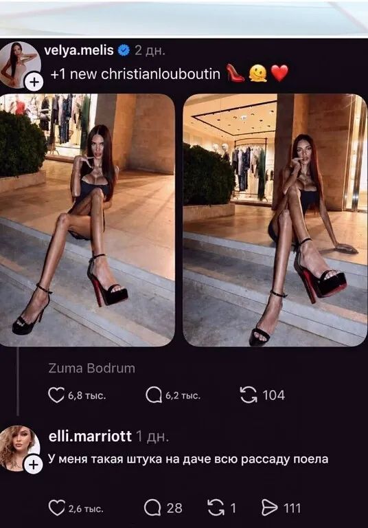 velya.melis +1 new christianlouboutin Zuma Bodrum elli.marriott У меня такая штука на даче всю рассаду поела