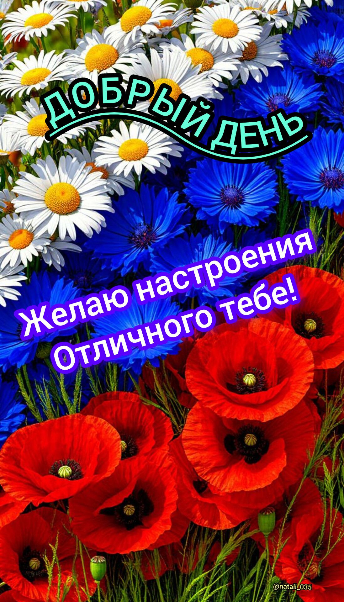 Добрый день Желаю настроения Отличного тебе! @natali_035