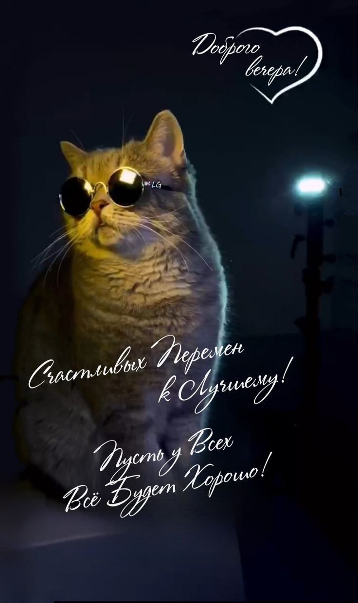 Доброго вечера! Счастливых перемен к лучшему! Пусть у всех всё будет хорошо!