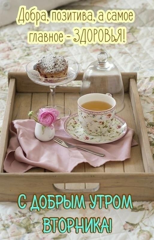 Добра, позитива, а самое главное - ЗДОРОВЬЯ! С ДОБРЫМ УТРОМ ВТОРНИКА!
