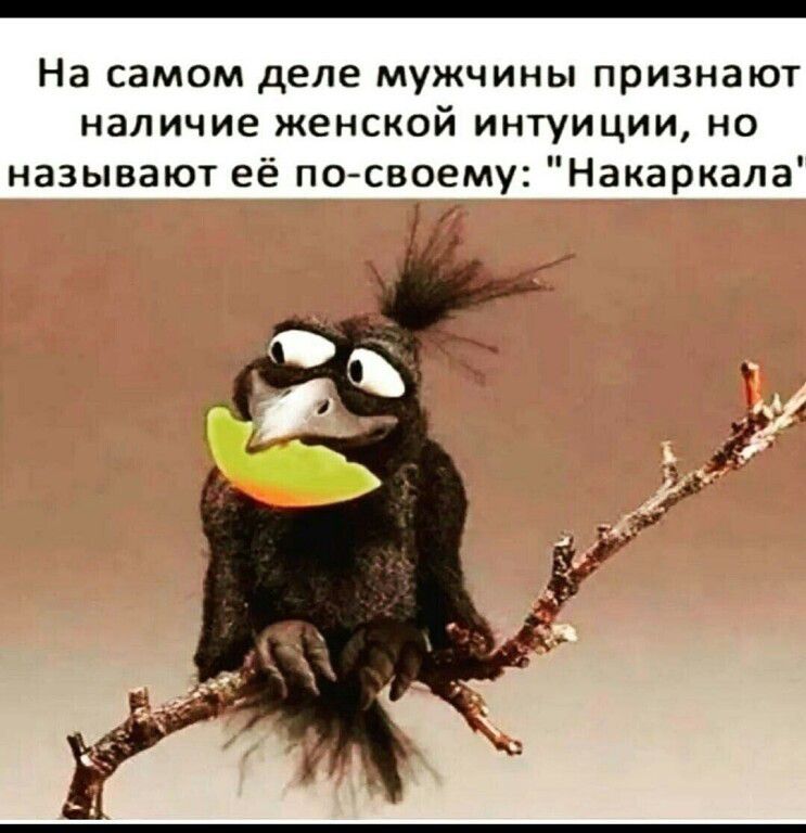 На самом деле мужчины признают наличие женской интуиции, но называют её по-своему: 