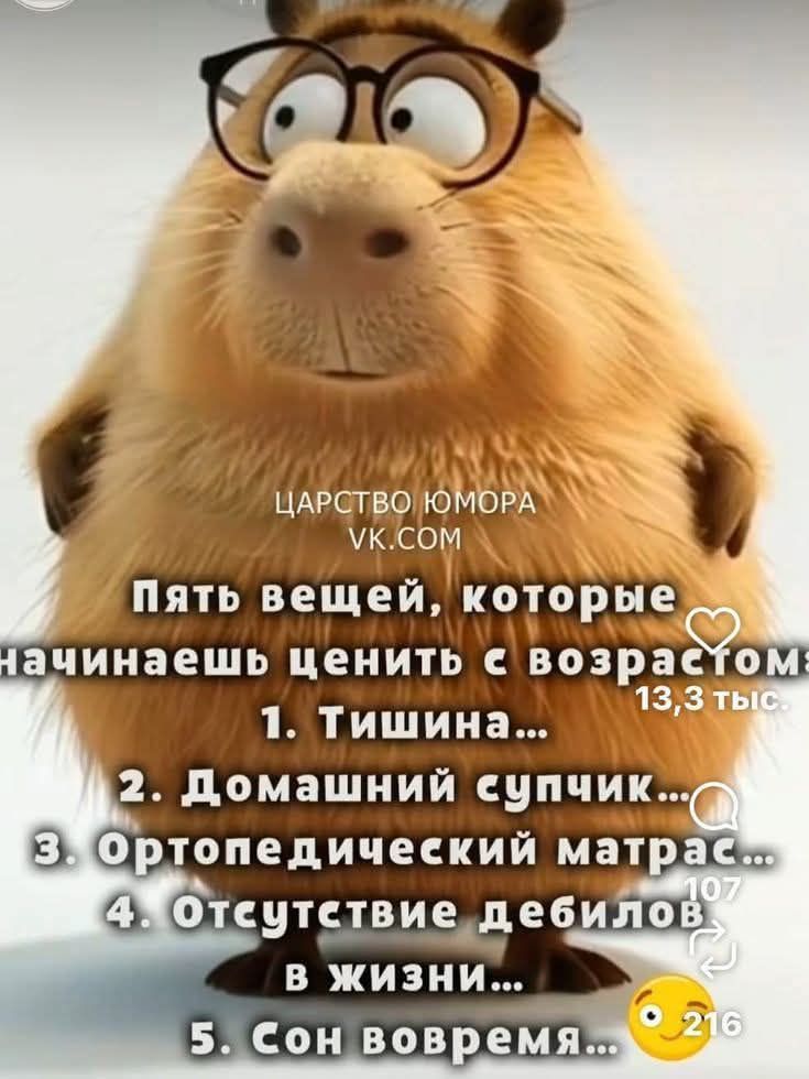 ЦАРСТВО ЮМОРА VK.COM Пять вещей, которые начинаешь ценить с возрастом: 1. Тишина... 2. Домашний супчик... 3. Ортопедический матрас... 4. Отсутствие дебилов в жизни... 5. Сон вовремя...
