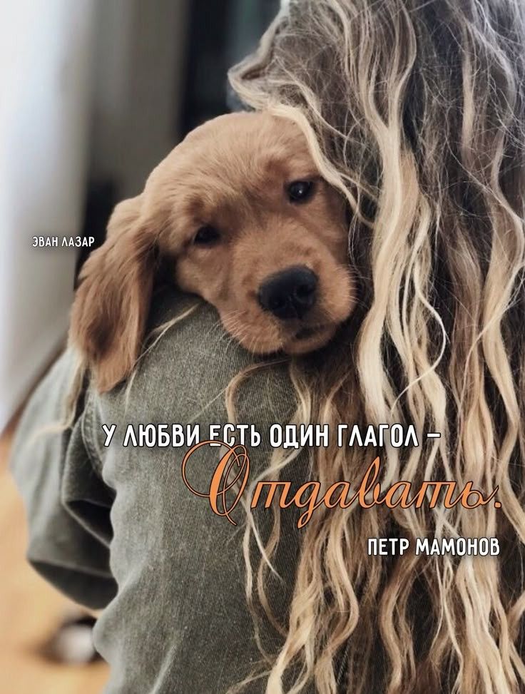 ЭВАН ЛАЗАР У ЛЮБВИ ЕСТЬ ОДИН ГЛАГОЛ Отдавать. ПЕТР МАМОНОВ