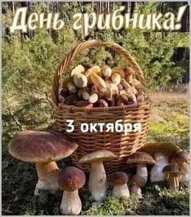 День грибника! 3 октября