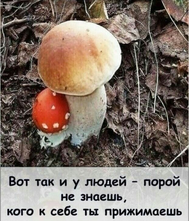 Вот так и у людей – порой не знаешь, кого к себе ты прижимаешь