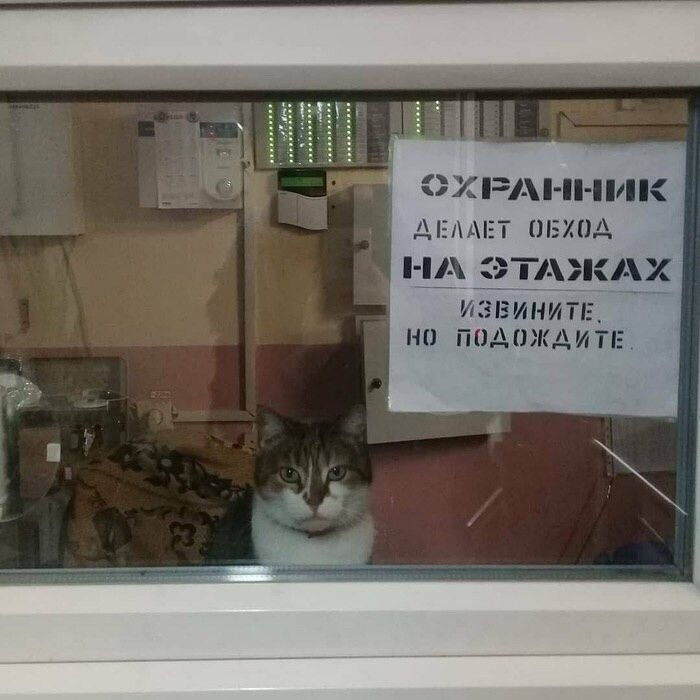 ОХРАННИК ДЕЛАЕТ ОБХОД НА ЭТАЖАХ. ИЗВИНИТЕ, НО ПОДОЖДИТЕ.