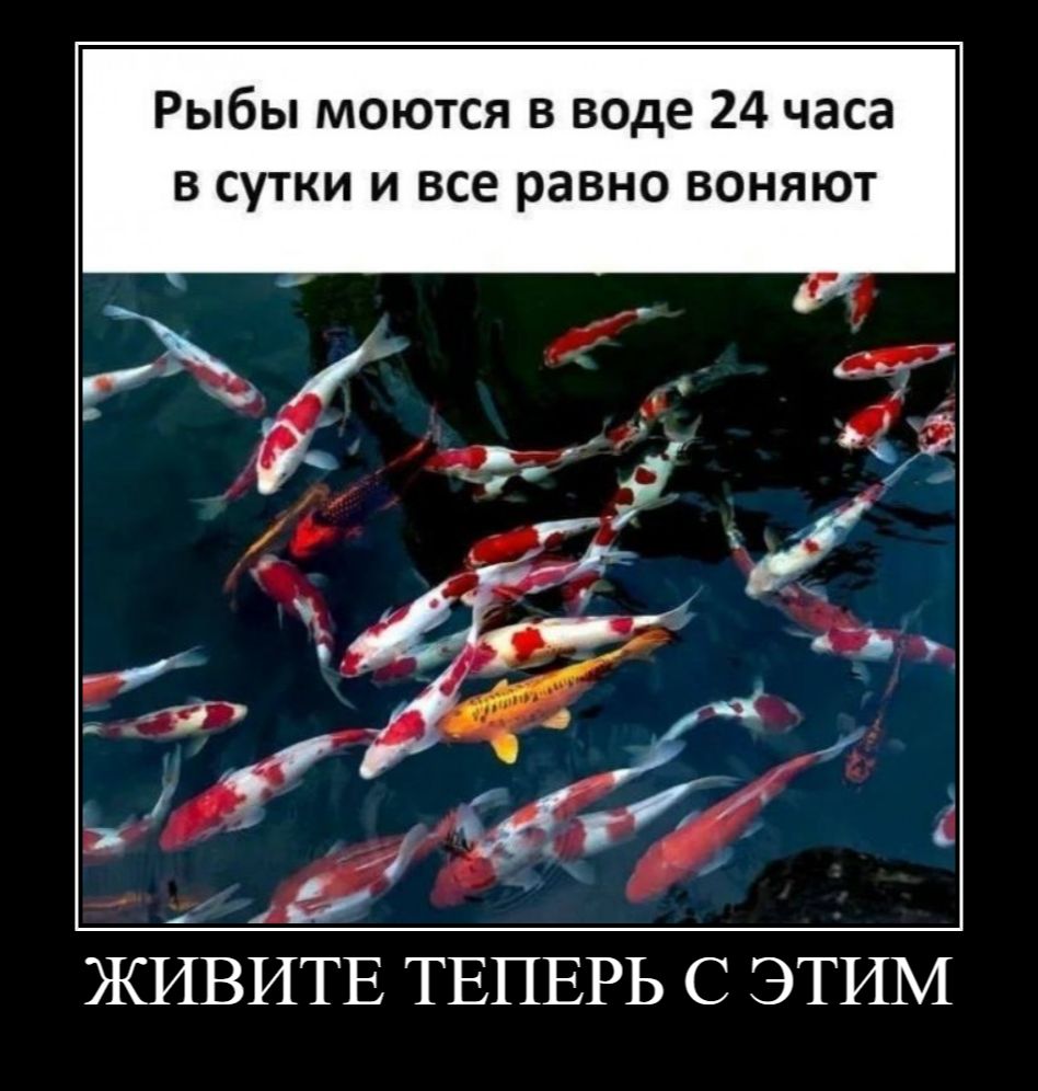 Рыбы моются в воде 24 часа в сутки и все равно воняют. ЖИВИТЕ ТЕПЕРЬ С ЭТИМ