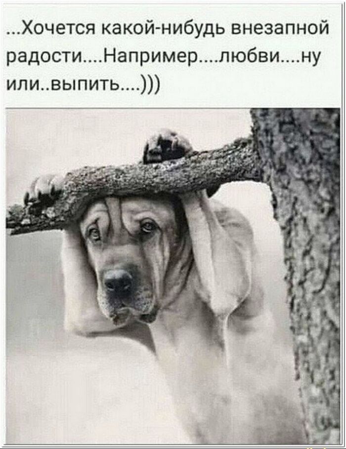 ...Хочется какой-нибудь внезапной радости....Например....любви....ну или..выпить....)))