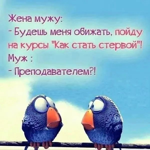 Жена мужу: - Будешь меня обижать, пойду на курсы 