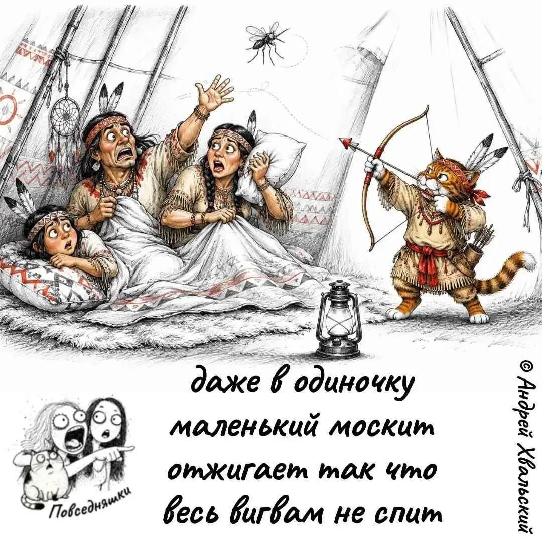 даже в одиночку маленький москит отжигает так что весь вигвам не спит