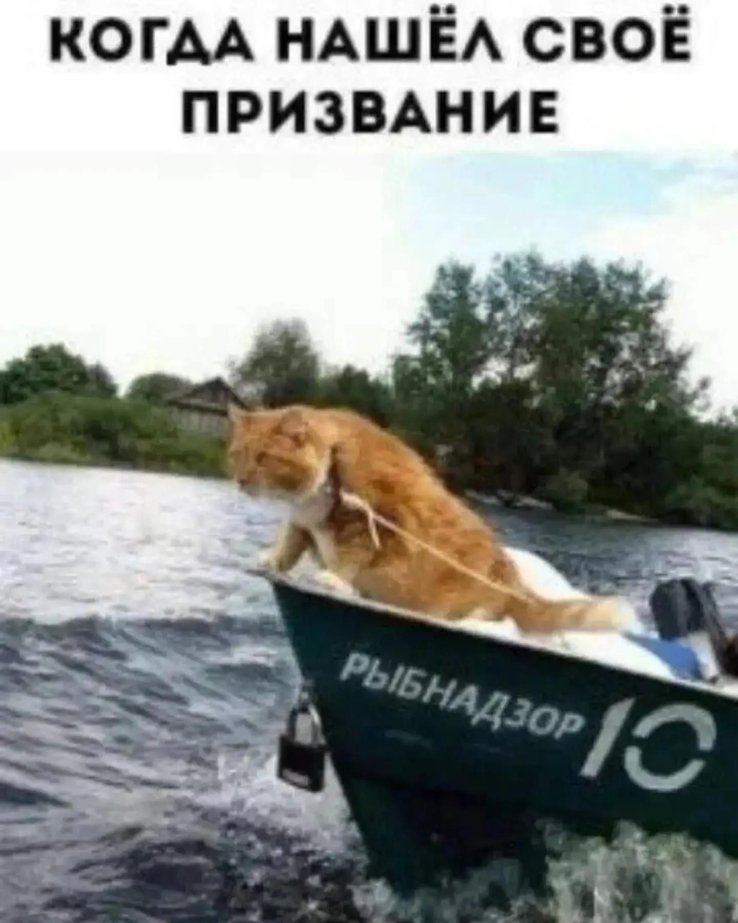 КОГДА НАШЁЛ СВОЁ ПРИЗВАНИЕ РЫБНАДЗОР 10