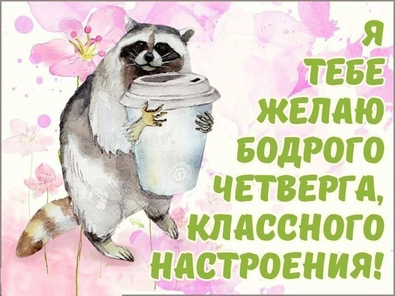 Я ТЕБЕ ЖЕЛАЮ БОДРОГО ЧЕТВЕРГА, КЛАССНОГО НАСТРОЕНИЯ!
