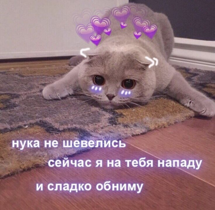 нука не шевелись сейчас я на тебя нападу и сладко обниму