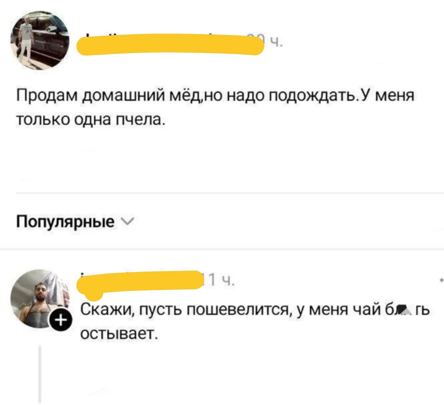 Продам домашний мёд, но надо подождать. У меня только одна пчела. Скажи, пусть пошевелится, у меня чай стынет.