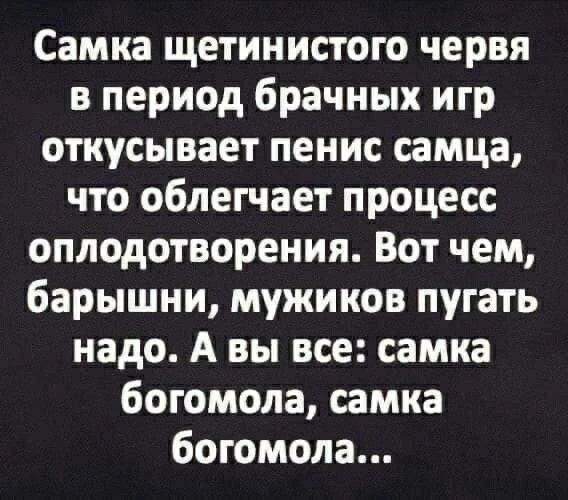 Самка щетинистого червя в период брачных игр откусывает пенис самца, что облегчает процесс оплодотворения. Вот чем, барышни, мужиков пугать надо. А вы все: самка богомола, самка богомола...