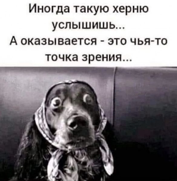 Иногда такую херню услышишь... А оказывается - это чья-то точка зрения...