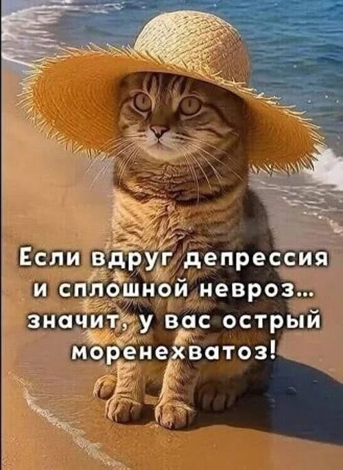 Если вдруг депрессия и сплошной невроз... значит, у вас острый моренехватОЗ!