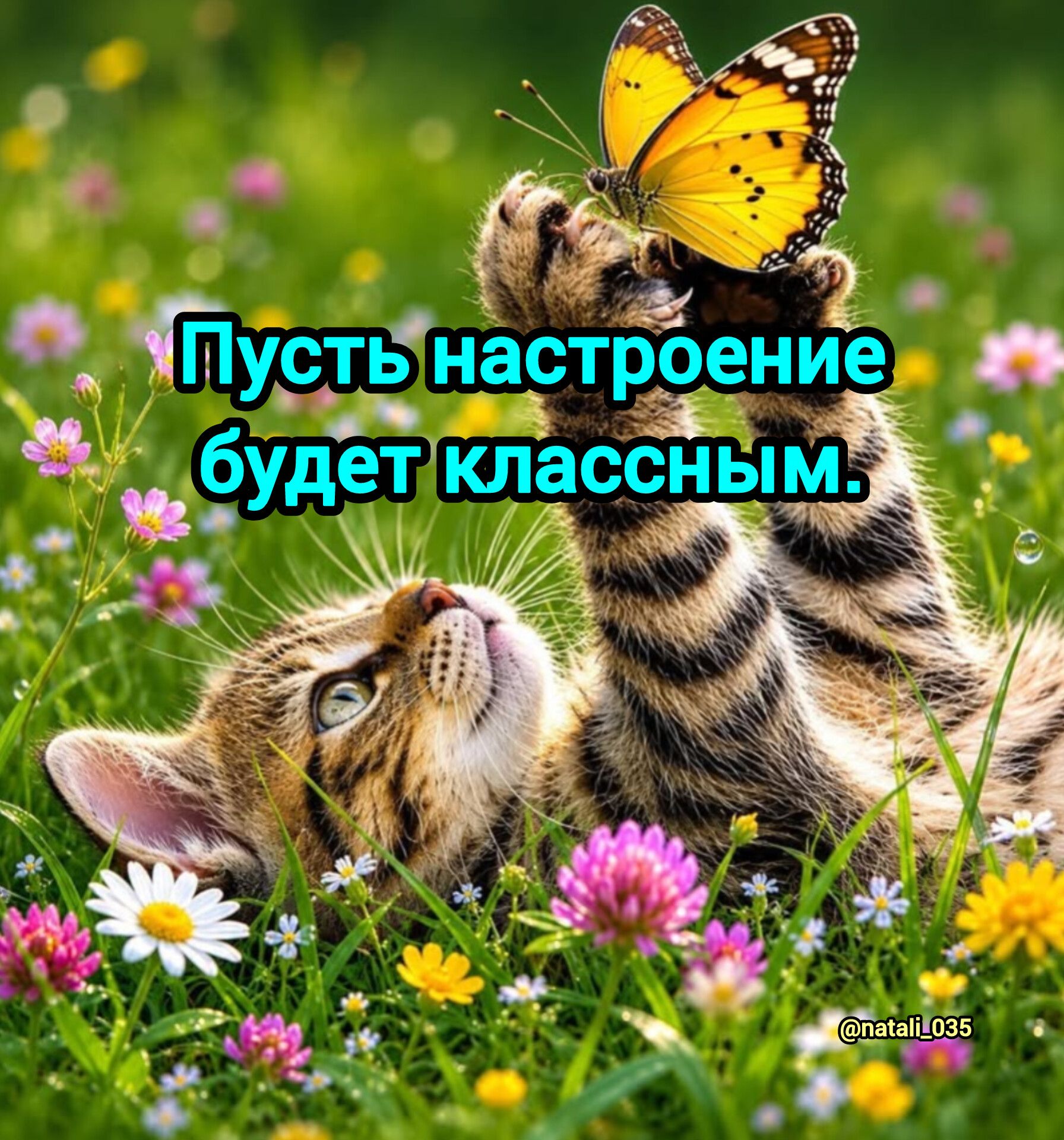 Пусть настроение будет классным.