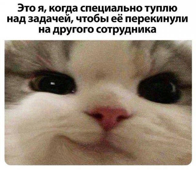 Это я, когда специально туплю над задачей, чтобы её перекинули на другого сотрудника
