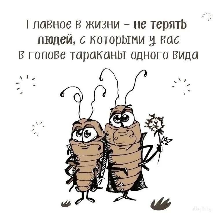 Главное в жизни - не терять людей, с которыми у вас в голове тараканы одного вида