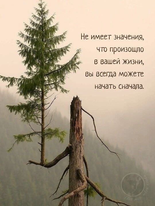 Не имеет значения, что произошло в вашей жизни, вы всегда можете начать сначала.