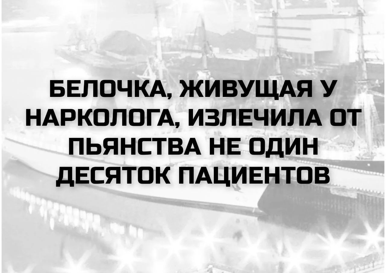 Белочка, живущая у нарколога, излечила от пьянства не один десяток пациентов