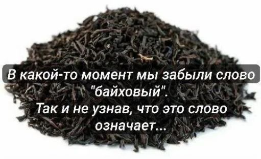 В какой-то момент мы забыли слово 