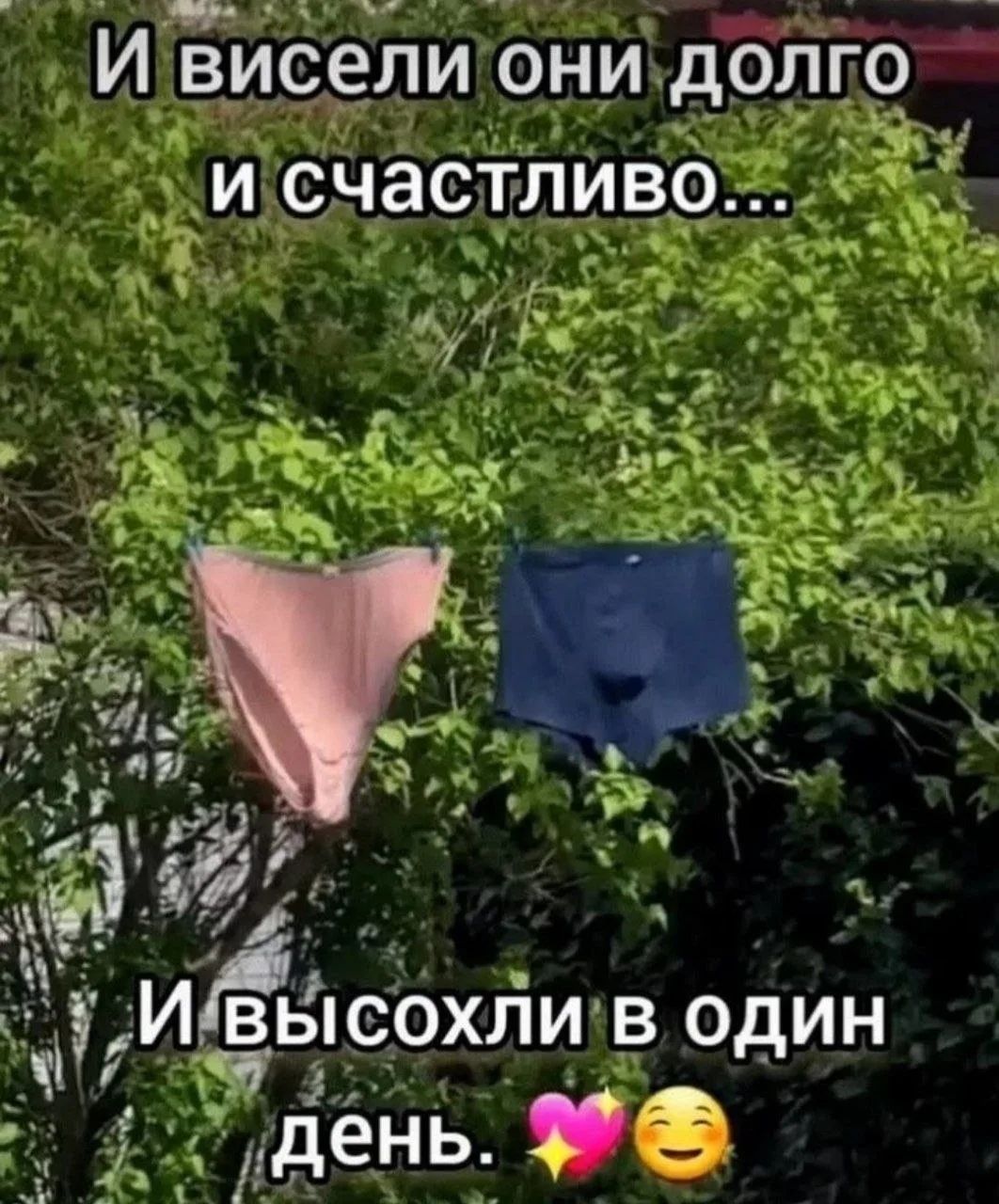 И висели они долго и счастливо... И высохли в один день. 💖😊