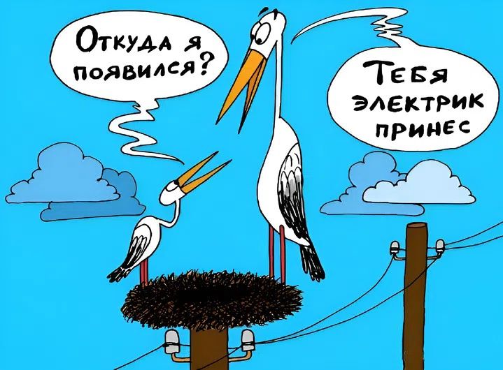 Откуда я появился? Тебя электрик принес
