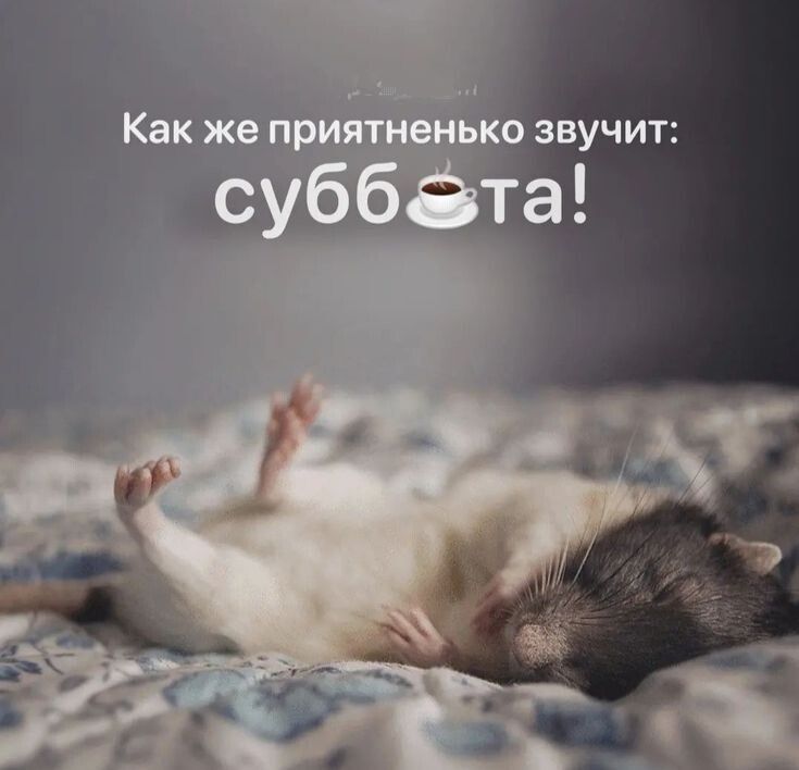 Как же приятненько звучит: суббота!