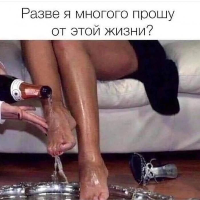 Разве я многого прошу от этой жизни?